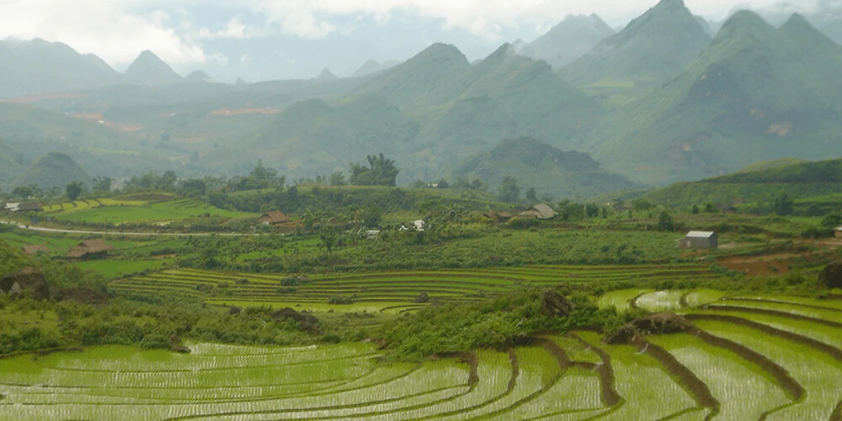 Vietnam 1-min.webp